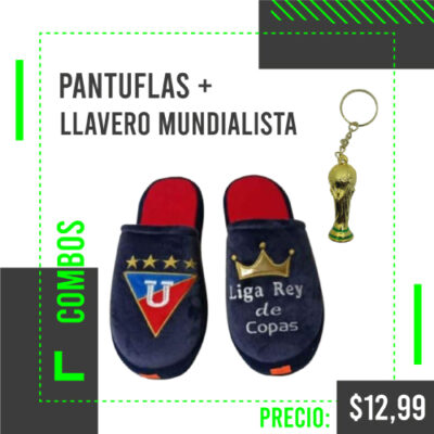 Pantuflas de la liga de quito